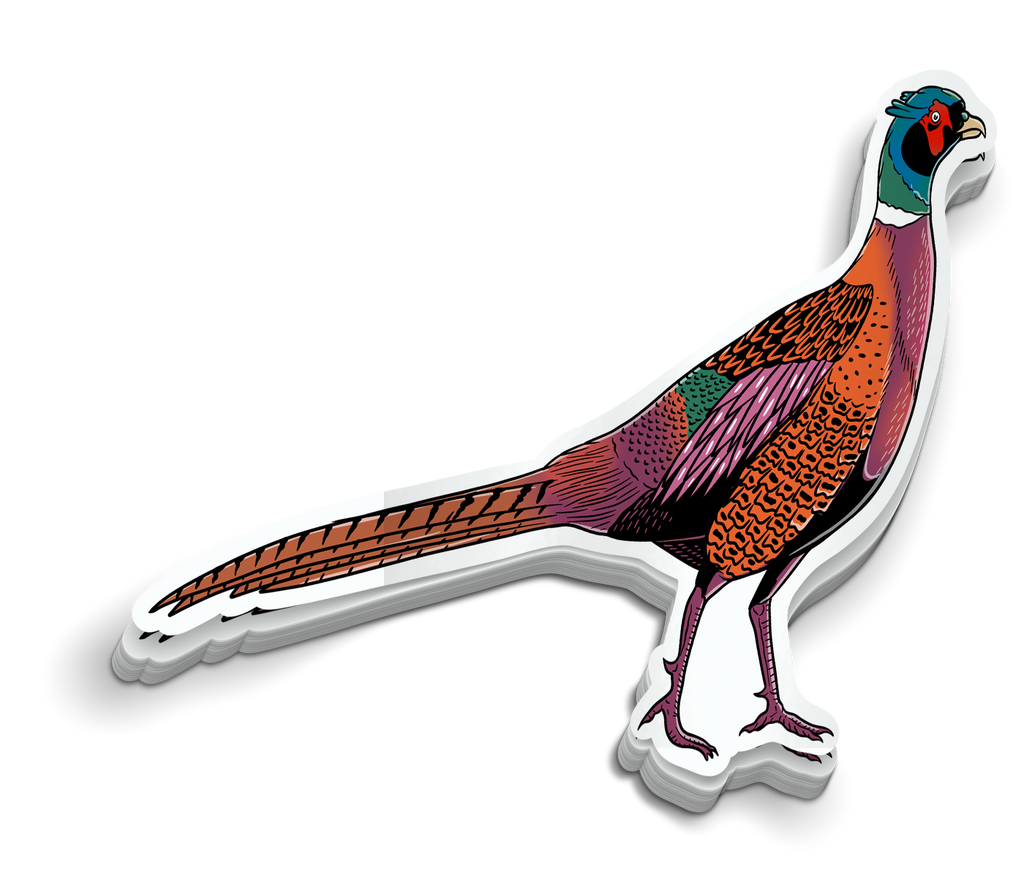 Pheasant - Sticker